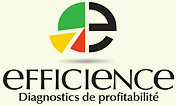Logo Gestion Efficience